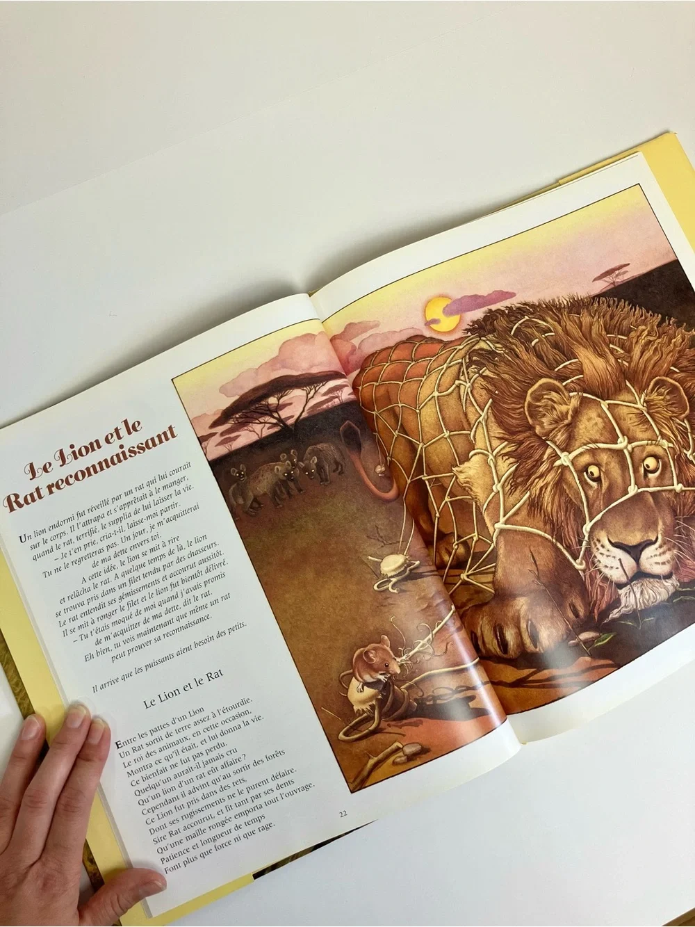 Livre vintage Fables d'Esope et de La Fontaine Charles Santore 1995 Littérature - Picture 10 of 17